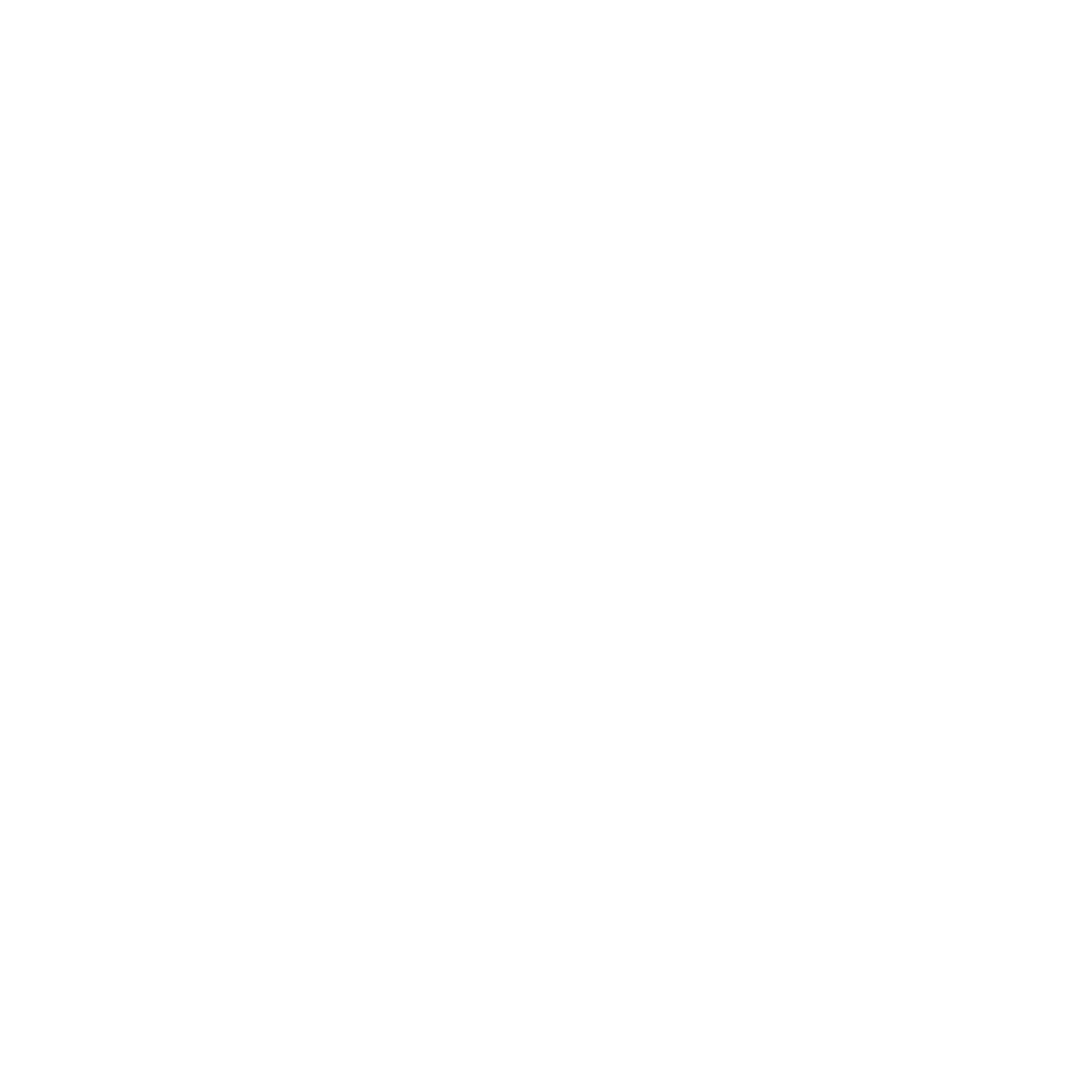 Signtral logo